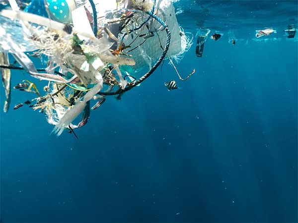 Plastikmüll, der an der Meeresoberfläche treibt